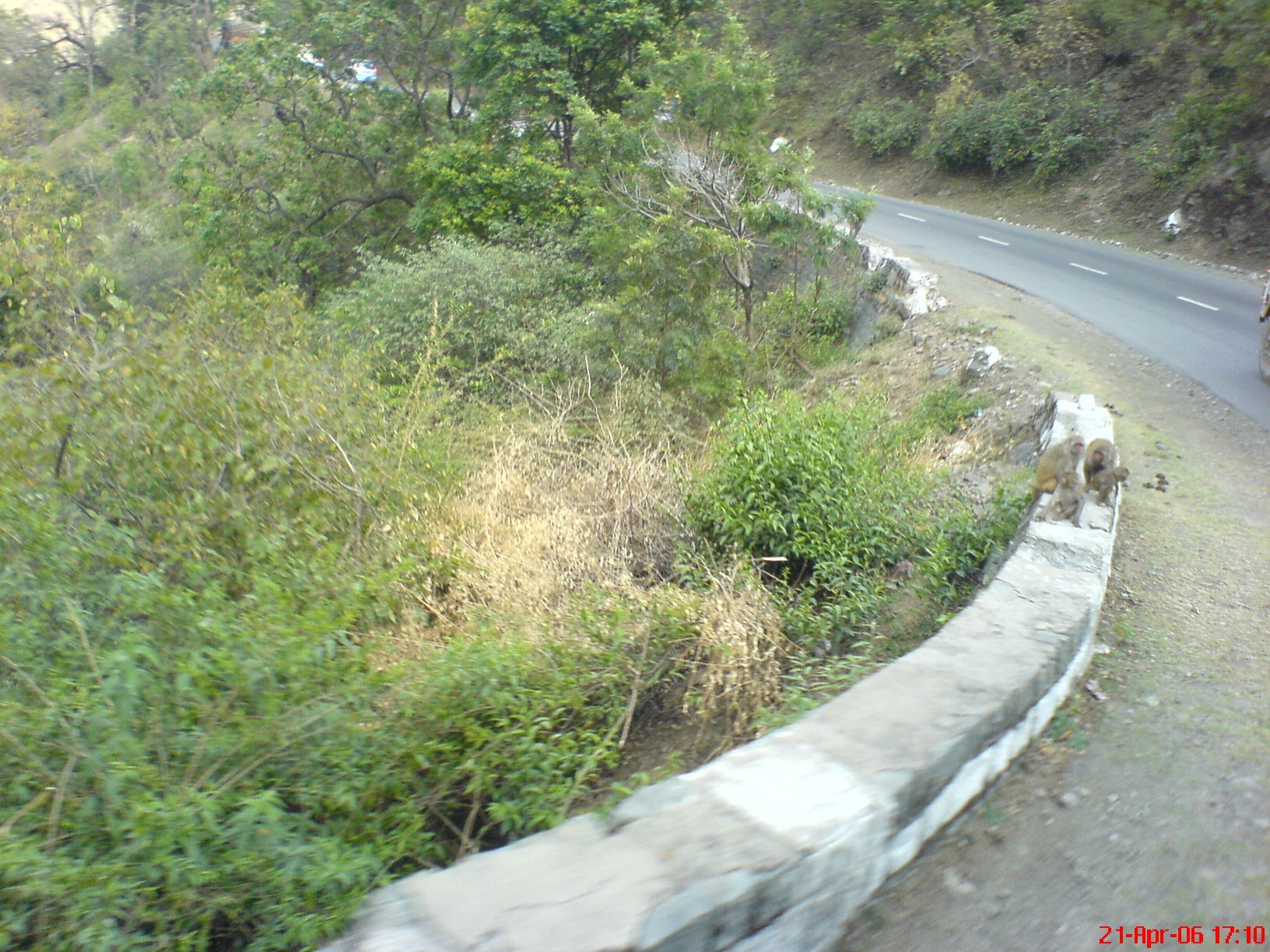 Way to Shimla cover